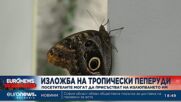 Изложба с тропически пеперуди и насекоми привлича туристи и местни във Варна