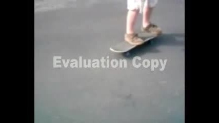 Stupid Video 1