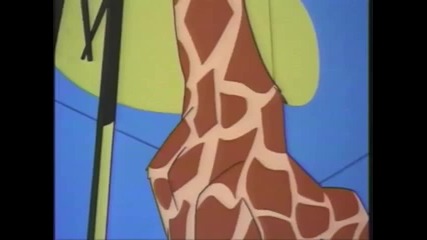 Warner Bros - 123061 Nellys Folly Mm 