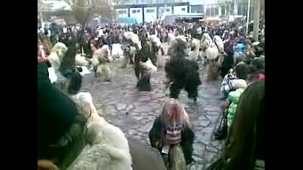 kalugerovo 2010