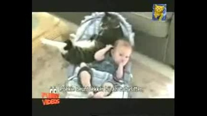 Смешни котенца 