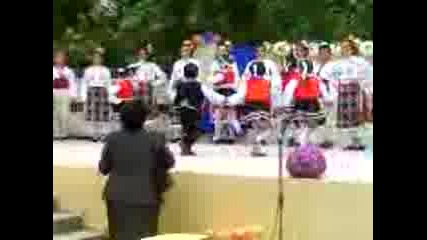 Mov00189nmbm