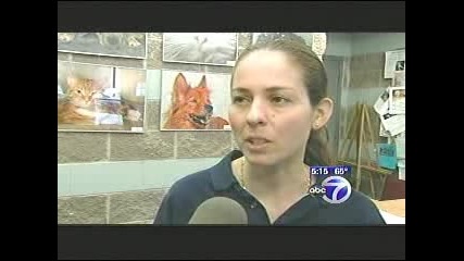 Dog saves & protects his mother on New York expressway