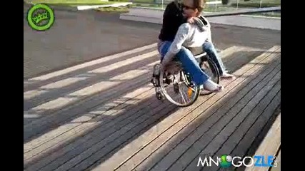 Фал с инвалидна количка