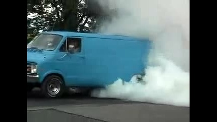nai ludiq van