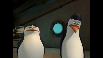 The Penguins of Madagascar - Hello, dollface