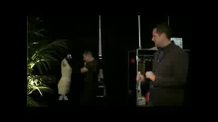 The Tonight Show - Madonna Missing