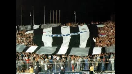 Grobari ultra 