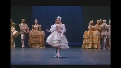 Swan lake Paris Opera 9