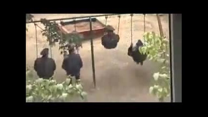 Руската полиция в действие (смях) 