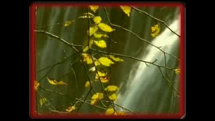 Relaxing piano ( As the sun rises)