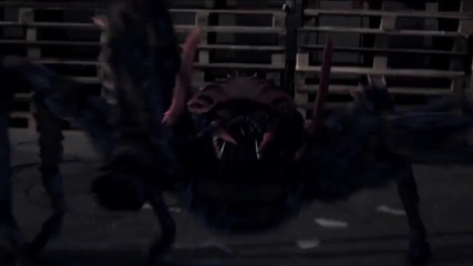 Spiders *2013* Trailer