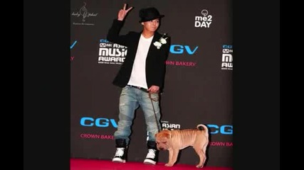 Big Bang playing with dogs really cute