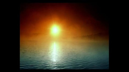 deep forest - night bird
