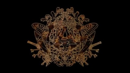 A (ace) - Night Of The Knights