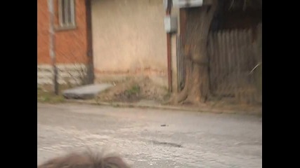 Пчелички на работа