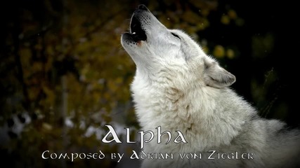 Celtic Music - Alpha