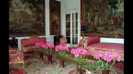 Fleurs Pour Mon Ami
