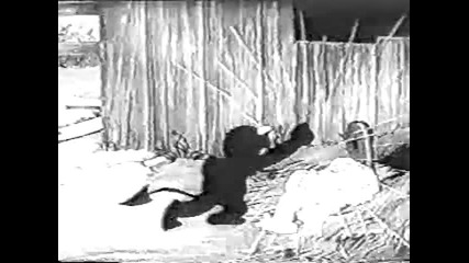 Warner Bros - Goin To Heaven On A Mule Mm Vid 