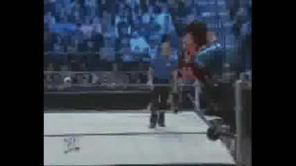 Wwe Divas Tribute