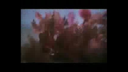 Pussycat Dolls - I Hate This Part