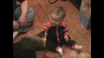 Babies Laughing At Dogs Supercute