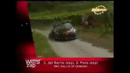 Watts Zap