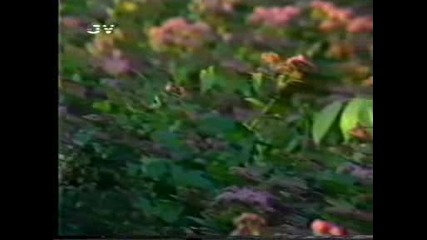 06.kemal Malovcic - 88 g. Svet je lep.avi