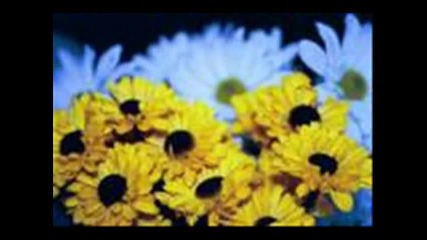 Foreigner - I dont want to live without you 