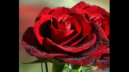 Glenn Mederios - Nothings Gonna Change My Love For You