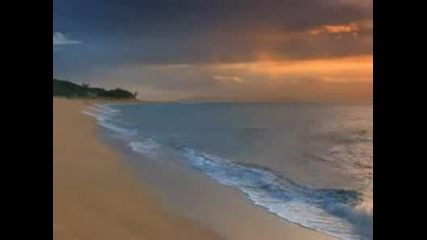Beaches Ocean Sunset On Barking 