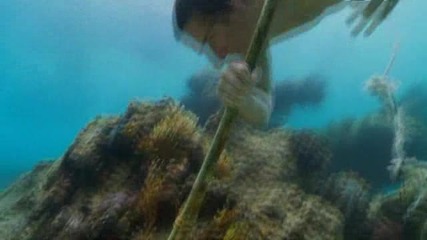 Man vs. Wild
