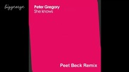 Peter Gregory - She Knows ( Peet Beck Remix ) [high quality]