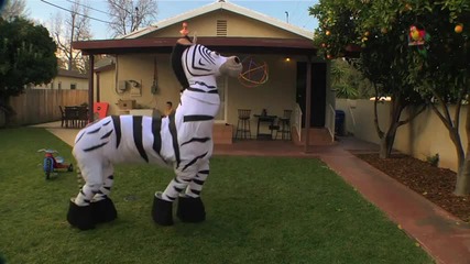 Готина танцуваща зебра (смях)