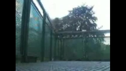 The Best Freerun!