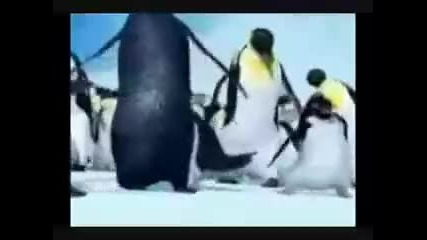 kaptasli sefai Davul Zurna Penguen )