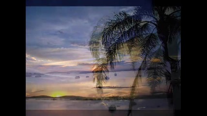 Toto - Miss Sun 