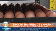 Обявяват резултатите от проверките на яйца от Украйна