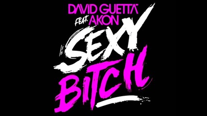 David Guetta Feat. Akon - Sexy Bitch