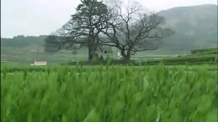 Hermoso secreto - Spring Waltz Subtitulado Espanol