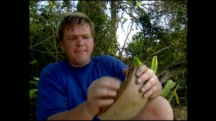 Ray Mears Desert Island Survival Part 2 4