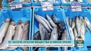 Подправки с пестициди и риба с токсични добавки: ЕС засече опасни вещества в храни у нас