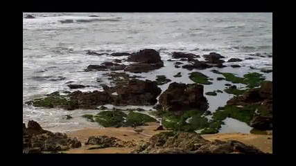 Imag0009