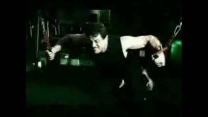 Rocky Vi тренировка