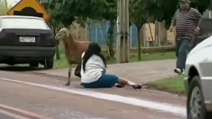 Hicham Bennir - Angry Goatzilla _ Facebook
