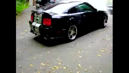 2005 Mustang Gt Kenne Bell Supercharged Burnout 3