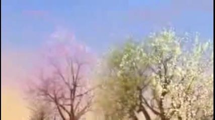 Selena gomez - fly to your