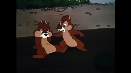 Доналд Дък и Чип и Дейл - Анимация Трети епизод