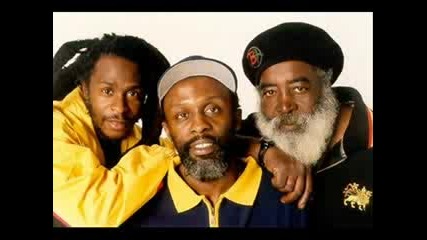 Steel Pulse - Roller Skates