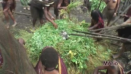 Papua - Baliem Valley,jiwika village festival